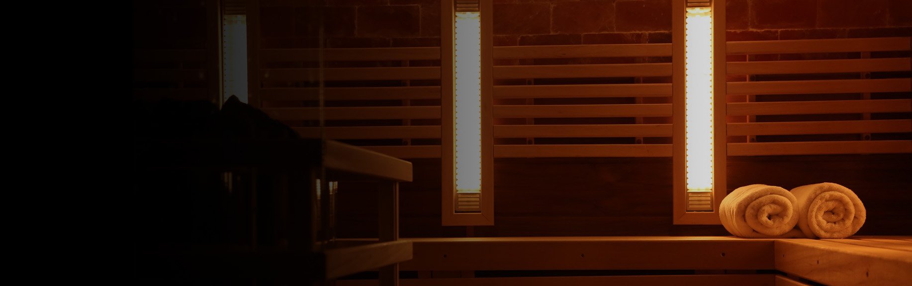 promienniki term2000 do sauny infrared