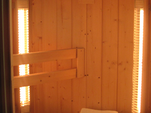 promienniki term2000 vitae do sauny infrared