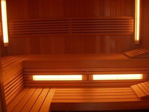 sauna infrared promienniki term2000 vitae